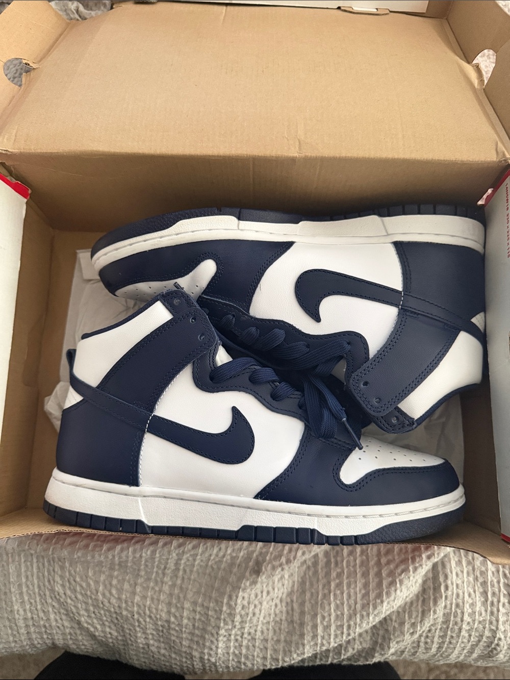 Nike High-Top Sneakers in Navy and White